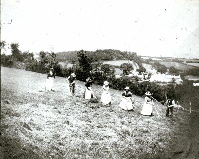 cribyn--raking-hay-pre-1914